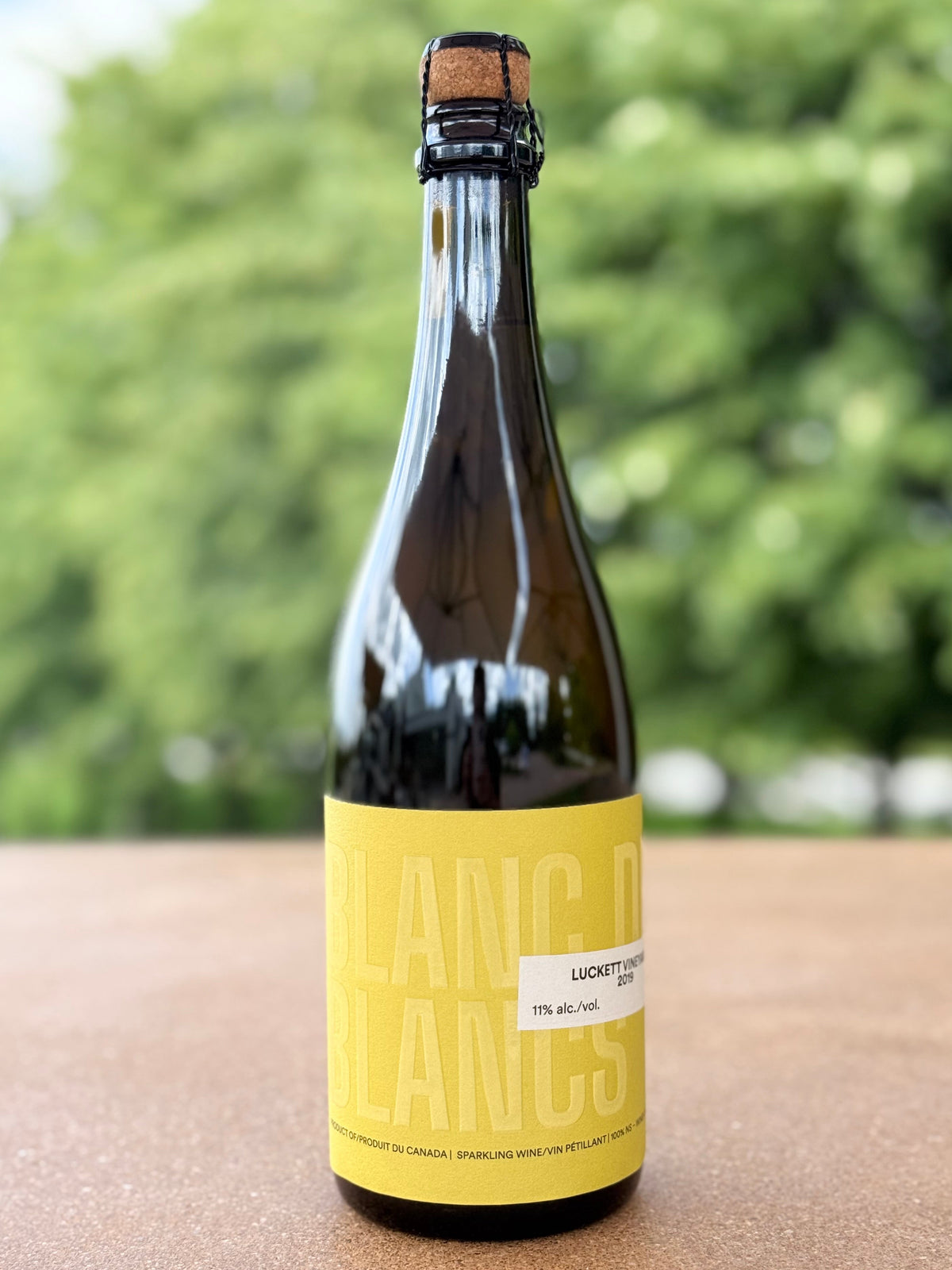 Blanc de Blancs 2019