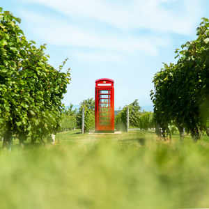 Phone Box Red